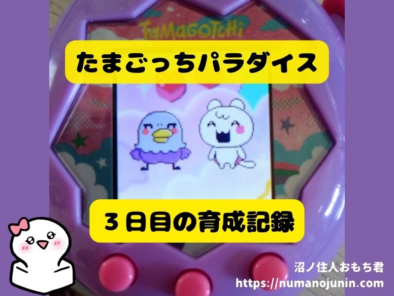 たまごっちパラダイス3日目の育成記録