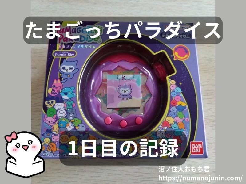 たまごっちパラダイス1日目の記録