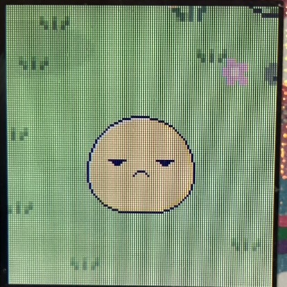 たまごっちパラダイス　でかべびまるっち２