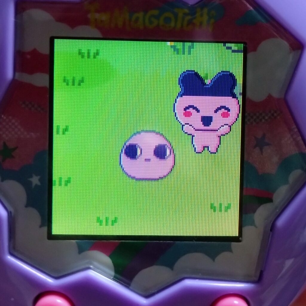 たまごっちパラダイスまめっちの子ども