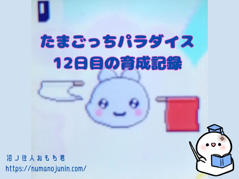 いっしょにあそぶを攻略するたまごっちパラダイス12日目の育成記録