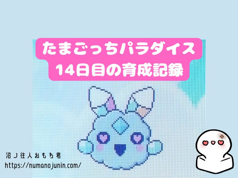 じぇむっちでおやつの効果検証！たまごっちパラダイス14日目の育成記録
