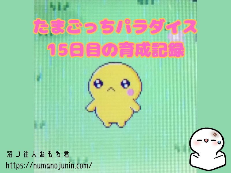 たまごっちパラダイス-15日目の育成記録