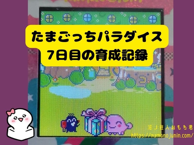 たまごっちパラダイス7日目の育成記録